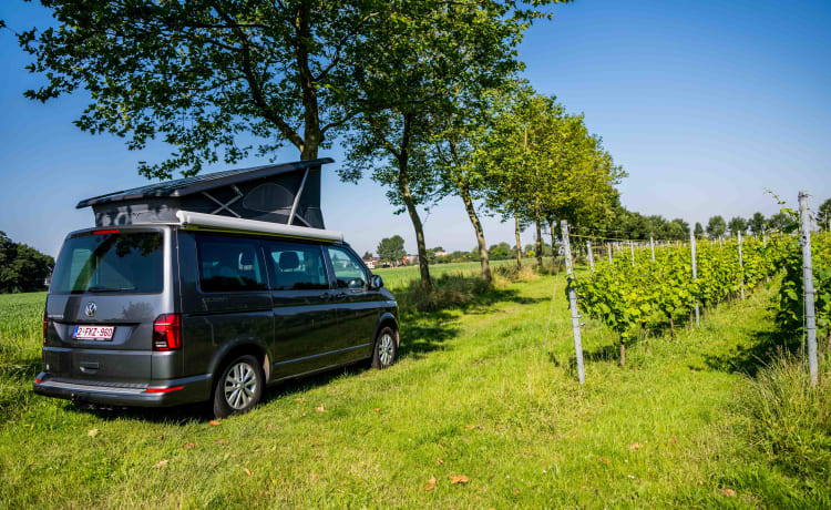 VW California 6.1 Ocean (2022) - 4 Personnes - Automatique + Porte-vélos