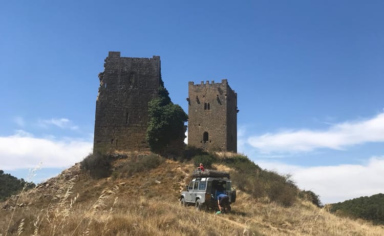 110 grijs – Land Rover Defender 110 with roof tent