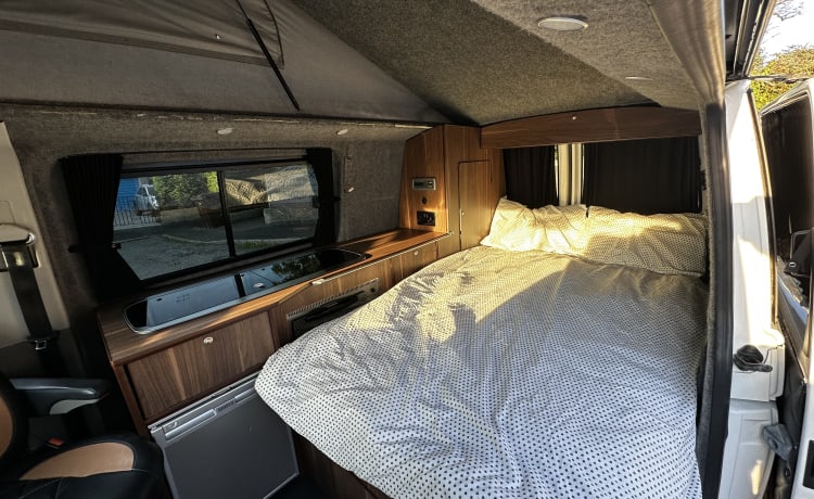 Camper con tetto pop-top VW T5.1 a 4 posti letto di alta qualità