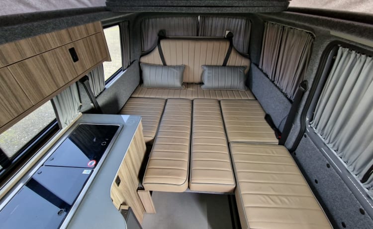 Coco the camper van  – Camper Volkswagen 3 posti letto del 2021