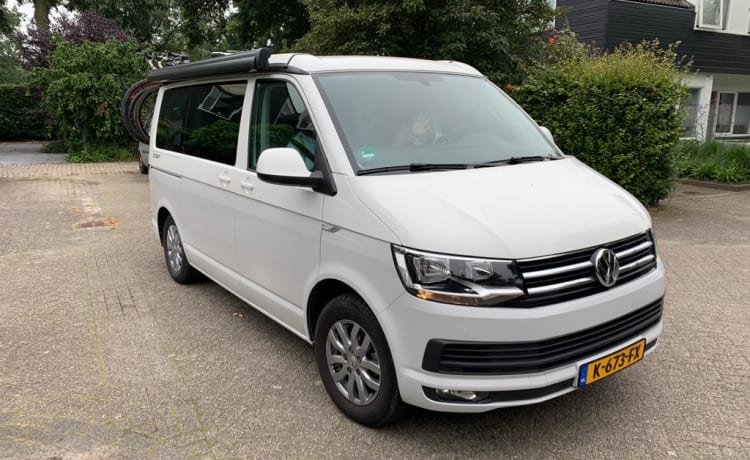 Volkswagen T6 California Ocean Camperbus uit 2018