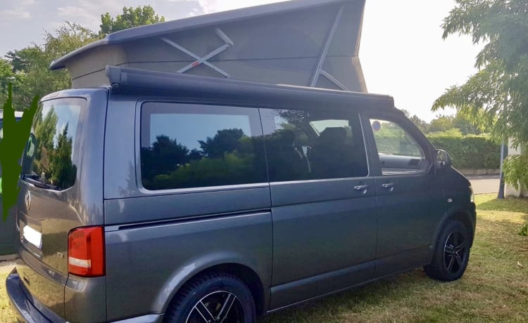 Calif – VAN VW California