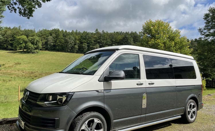 Elegante camper VW T6