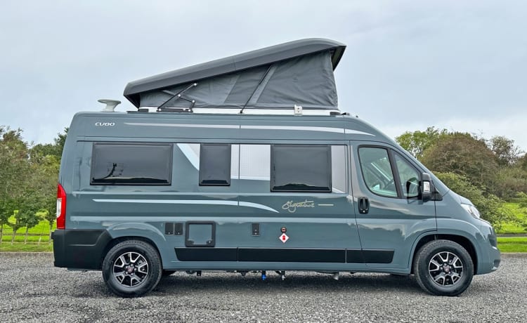 Betty George – Elddis 4-Bett-Campervan mit Automatik, 2024