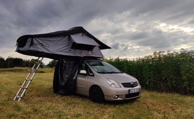 Toto – Micro Camper mit Dachzelt und Küchenbox