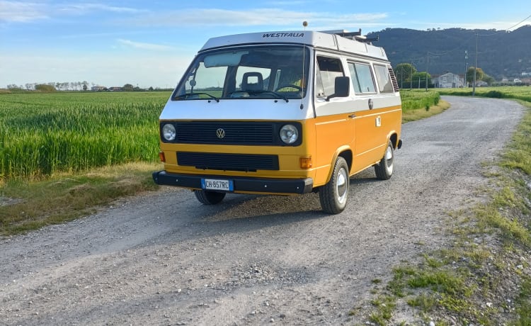 FRANCO - Vw T3 Westphalie