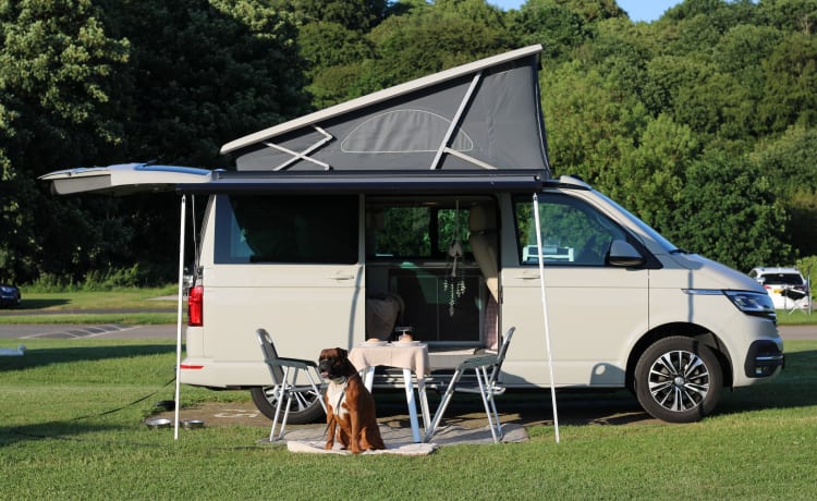 Camper Volkswagen 4p del 2021