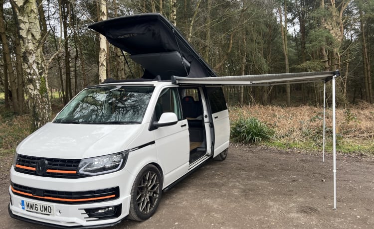 4-persoons Volkswagen camper uit 2016