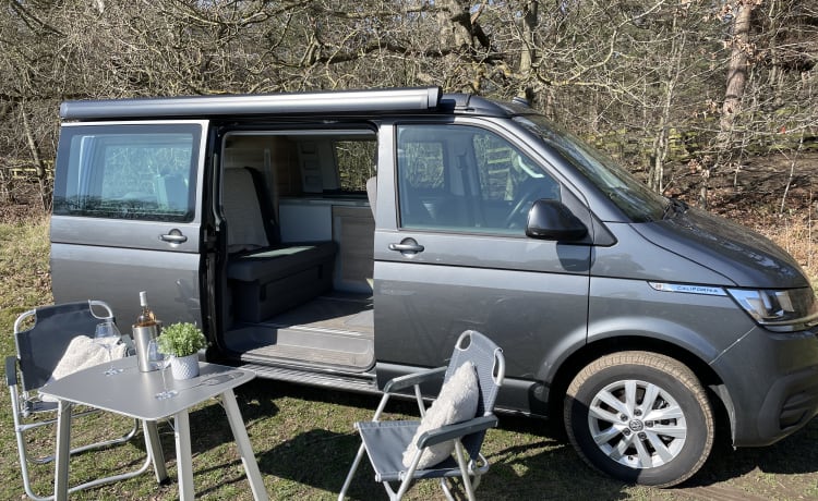 ViewStalkers – Camper VW California