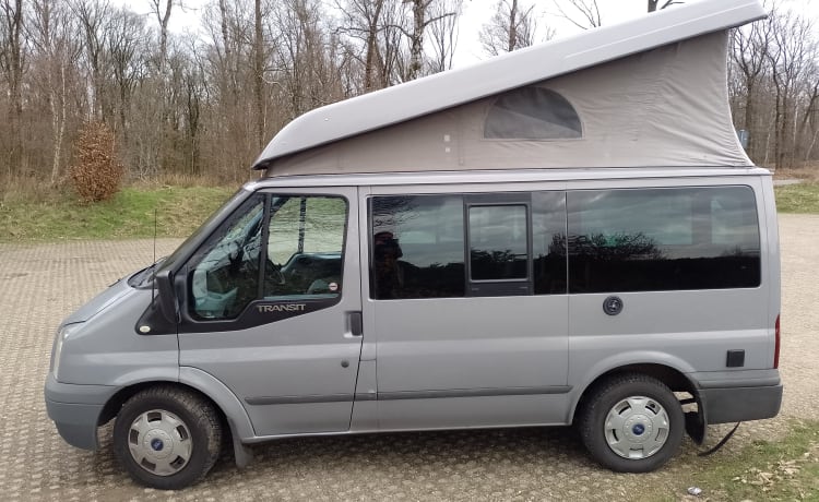 Bus Bertha  – 4p Ford campervan from 2012