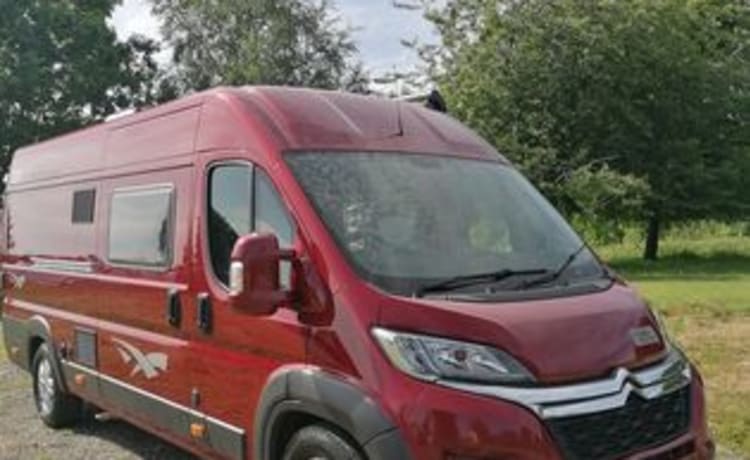 Ruby – 4-Bett Citroën Wildax ab 2016