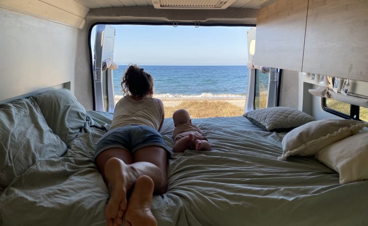 Dikke bus (BABYPROOF) – Camper su misura del 2022