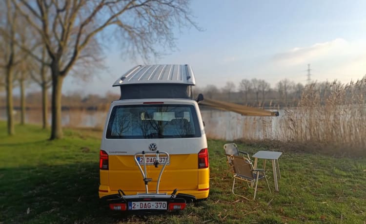 STORMY 2 – Volkswagen California Ocean NIEUW