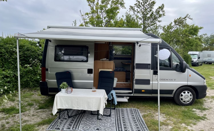 Ted – Compacte Fiat Globescout camperbus (3 pers.)