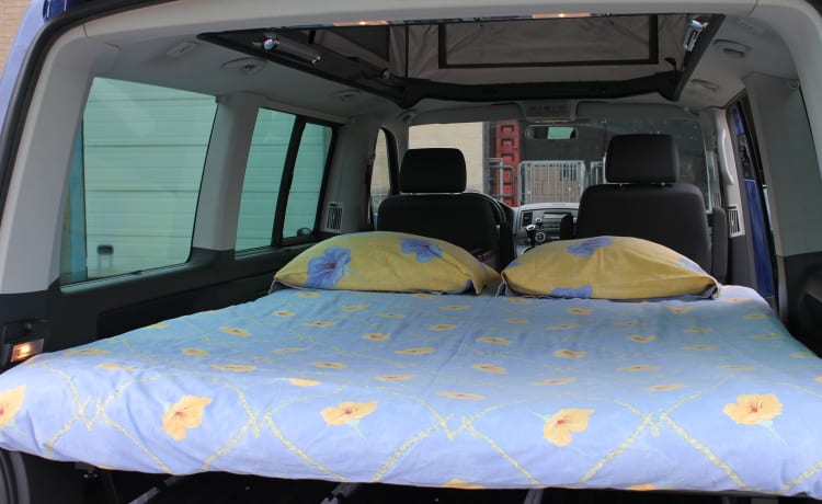 powerful VW T5 Multivan camper van with spacious Reimo pop-up roof