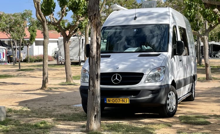 Reachervan – Mercedes-Benz Sprinter für zwei Personen