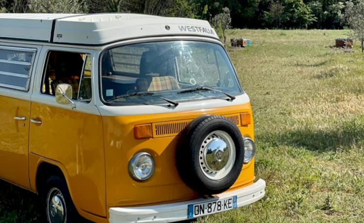 Jaune Attend – Kombi Van T2