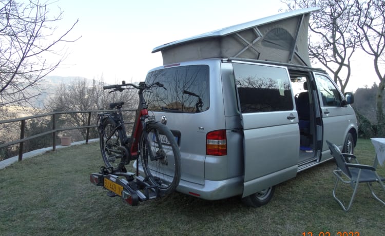 WOLLY – VOLKSWAGEN T5 CALIFORNIË WESTFALIA