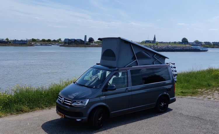 Déesse – VWCalifornia Oceano