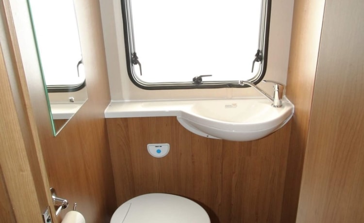 6 berth Fiat alcove from 2019