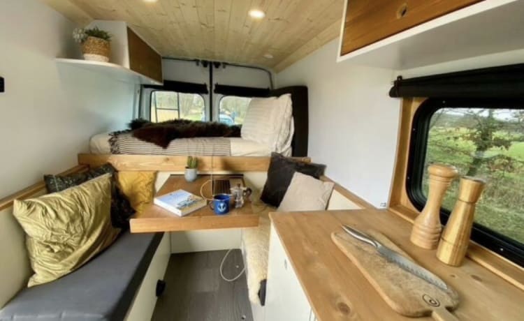 Renault Master selbstgebauter netzunabhängiger Camper Van