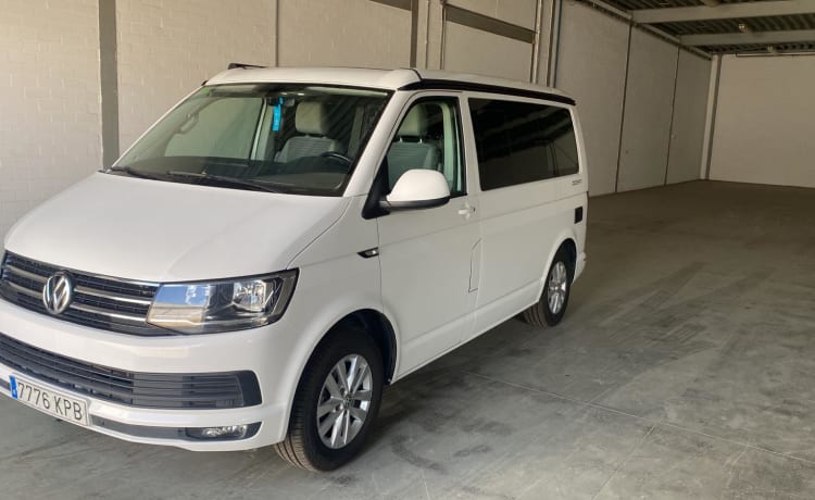 Cali  – Volkswagen California T6 (Factory Camper, original)