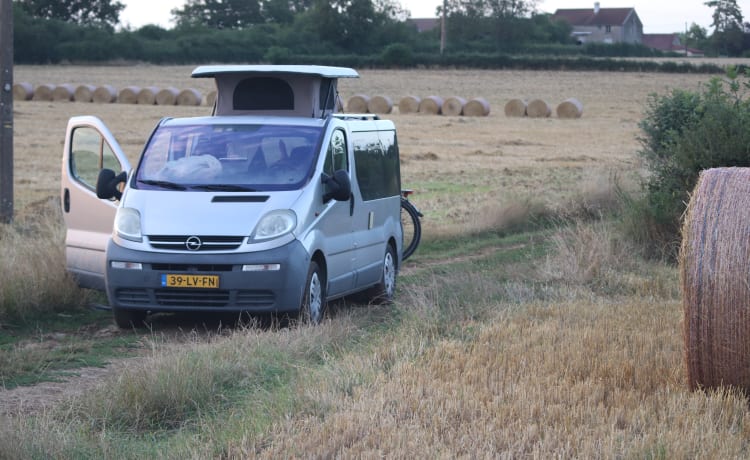 Viv – Handy and complete bus camper