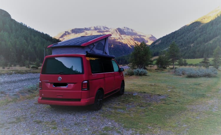 Calif – Volkswagen California Cost Edition Rental