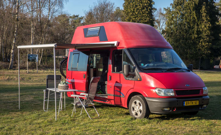 LAST MINUTE VAKANTIE  – idealer Camper mit Kindern