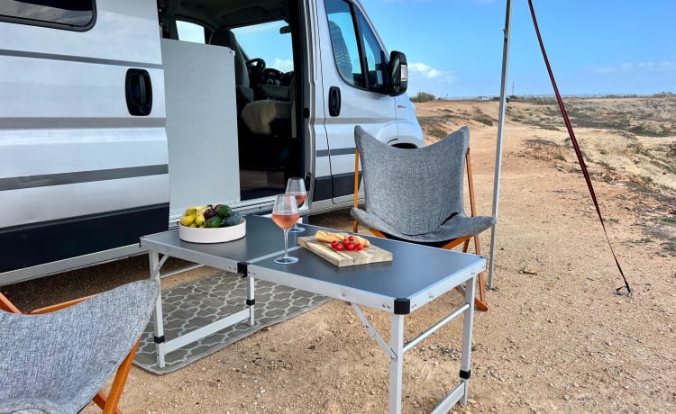 Freeda  – Adventurous, luxurious Hymer bus camper (4P)