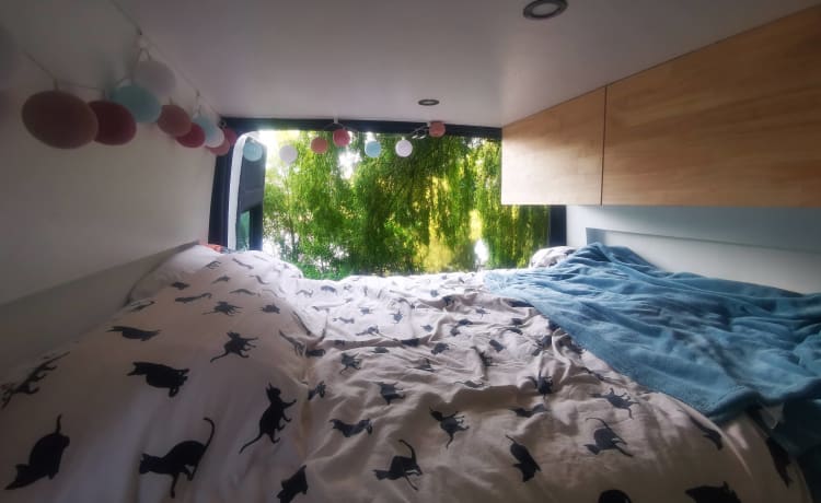 Bustave YFL – Cozy DIY van Ford Transit