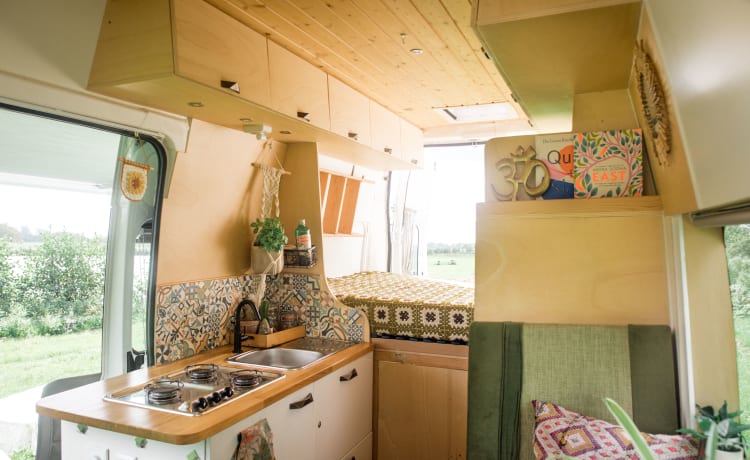 Ducato – Unieke, sfeervolle camper