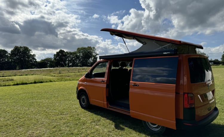 Van Tropez – New Conversion! Automatic VW Transporter w/5 seats