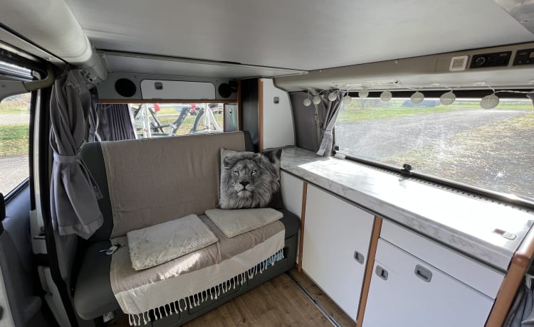 Colin de Camper – Volkswagen T4 California Bus-Wohnmobil, Top-Zustand, mit Extras und Off-Grid