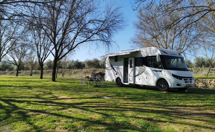 🚌Partez en voyage sans le mal du pays🚌