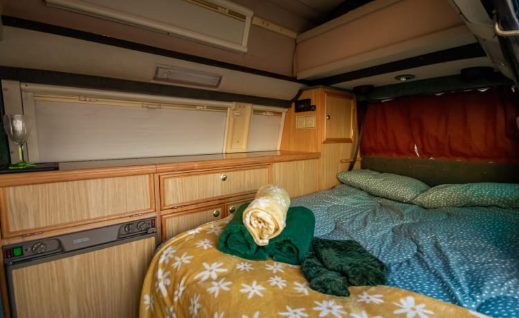 Vinny – 4 posti letto Volkswagen T4