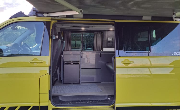 Camping-car vw de luxe 2019 automatique basé à Cockermouth