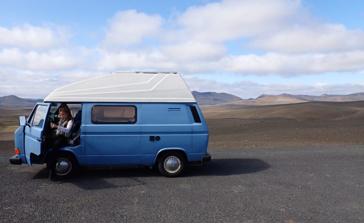 Theo – VW T3 Bulli