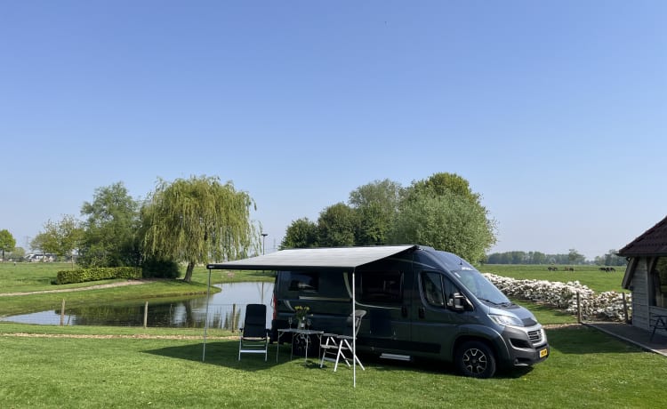 Angenehmer 2er-Wohnmobil für einen unvergesslichen Roadtrip!