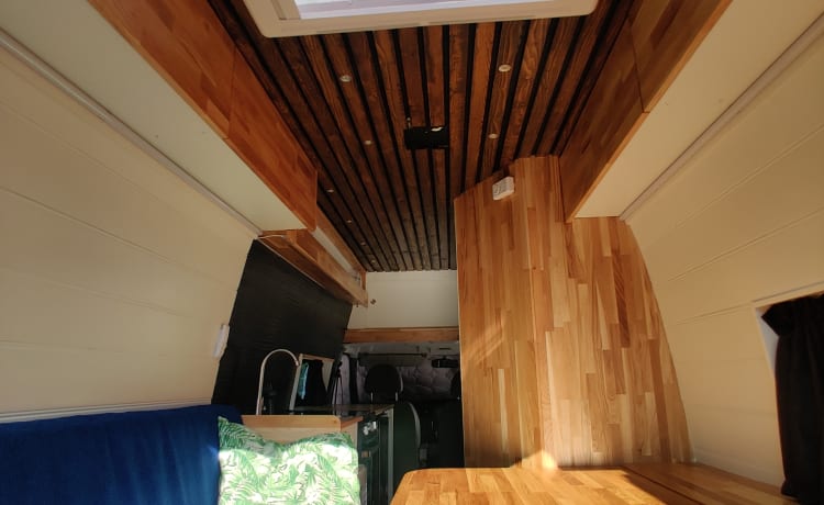 Globetrotter Vans – Super luxe Ford Campervan van alle gemakken voorzien