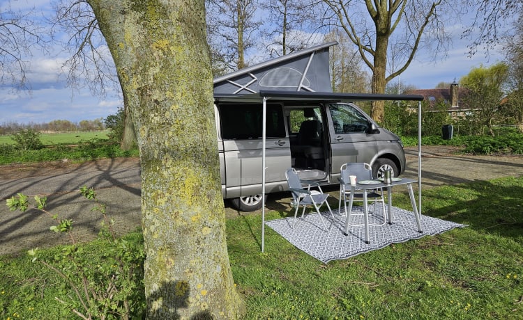 Camper Volkswagen California Ocean 6.1 del 2020