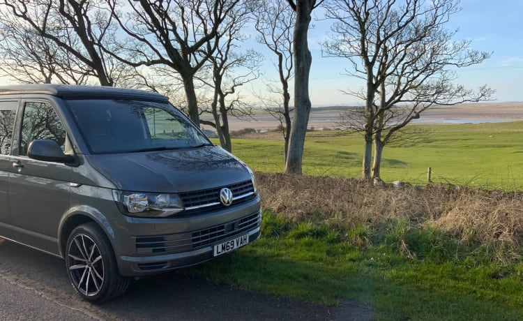 Een busje met uitzicht - VW T6-conversie uit 2019