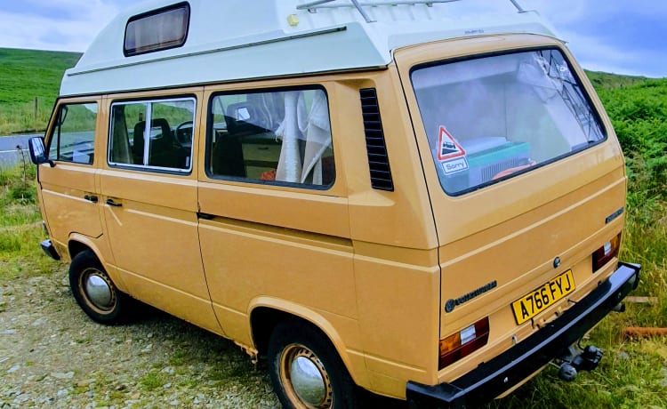 Renton – 1984 VW T25 Autohomes