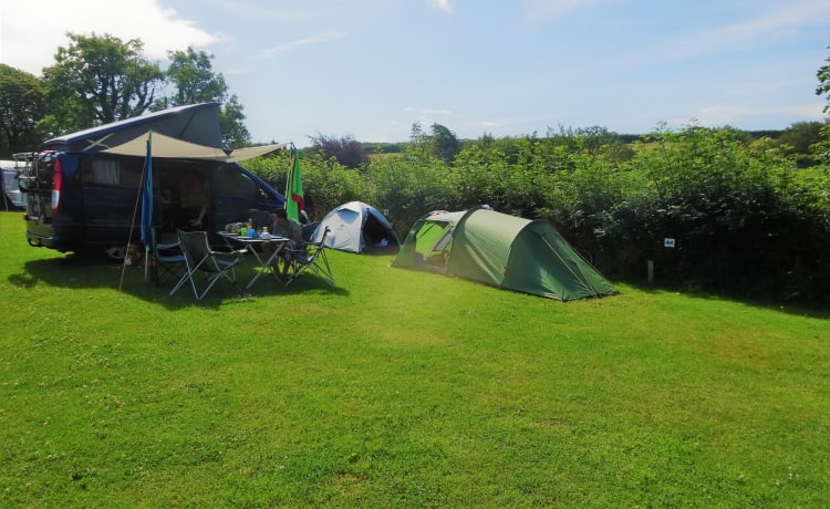 Brulaap – Ontdek de Luxe en Avontuur met onze goed uitgeruste Mercedes Camperbus!