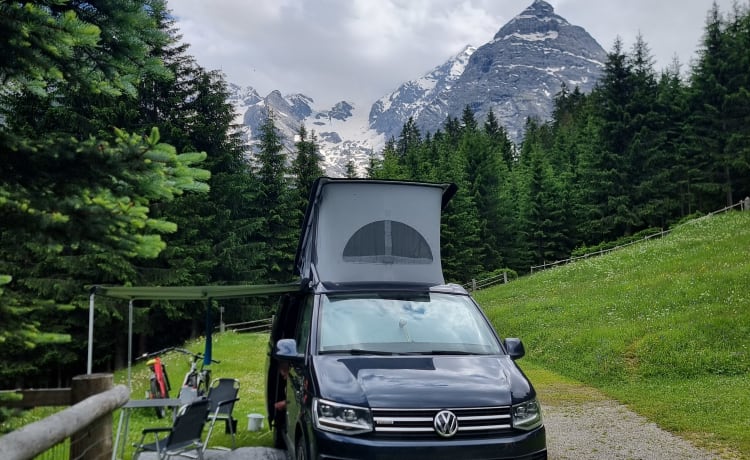 Volkswagen T6 California Ocean 4-motion DSG automatic