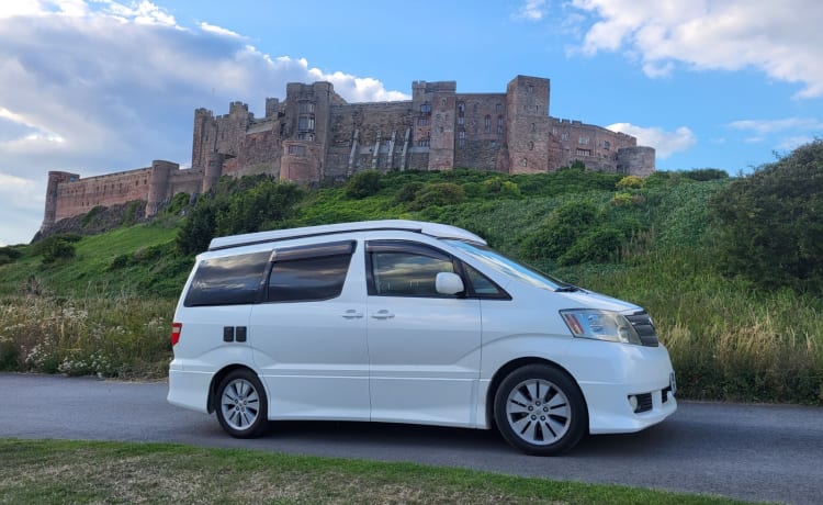 Toyota Alphard Automatic Bi-Fuel (Petrol / LPG)  