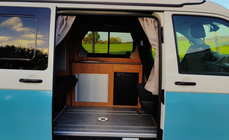 blue – Van T6 Volkswagen 