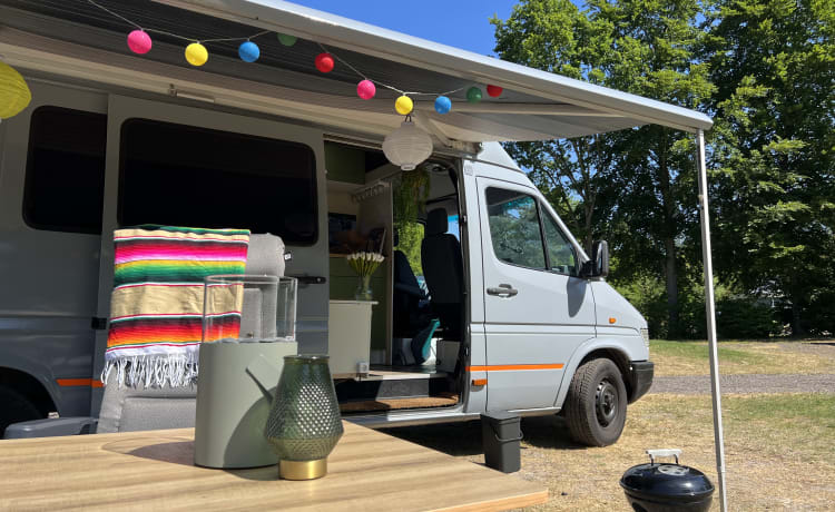 Bakbeest Bertje – 2p Camper Bertje sucht Spaß