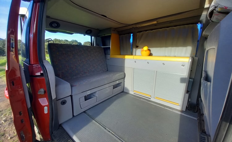 VANTASTIK RENTAL CAMPERVAN – MERCEDES MARCO POLO - VANTASTIK HUURCAMPER