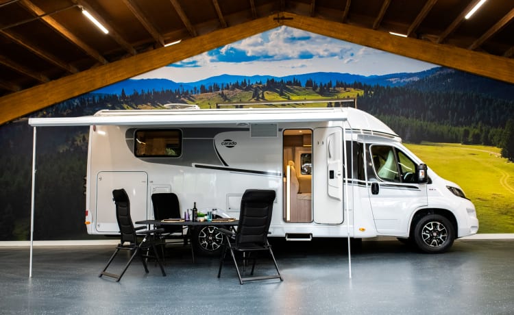 Luxe 4p Carado T447 uit 2021